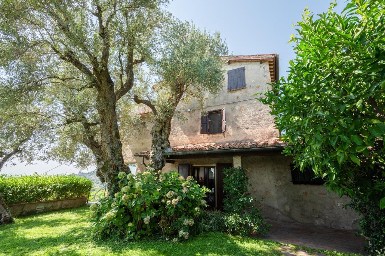 Villa Eden Forte Dei Marmi With Private Infinity Pool Santa Lucia  Kültér fotó