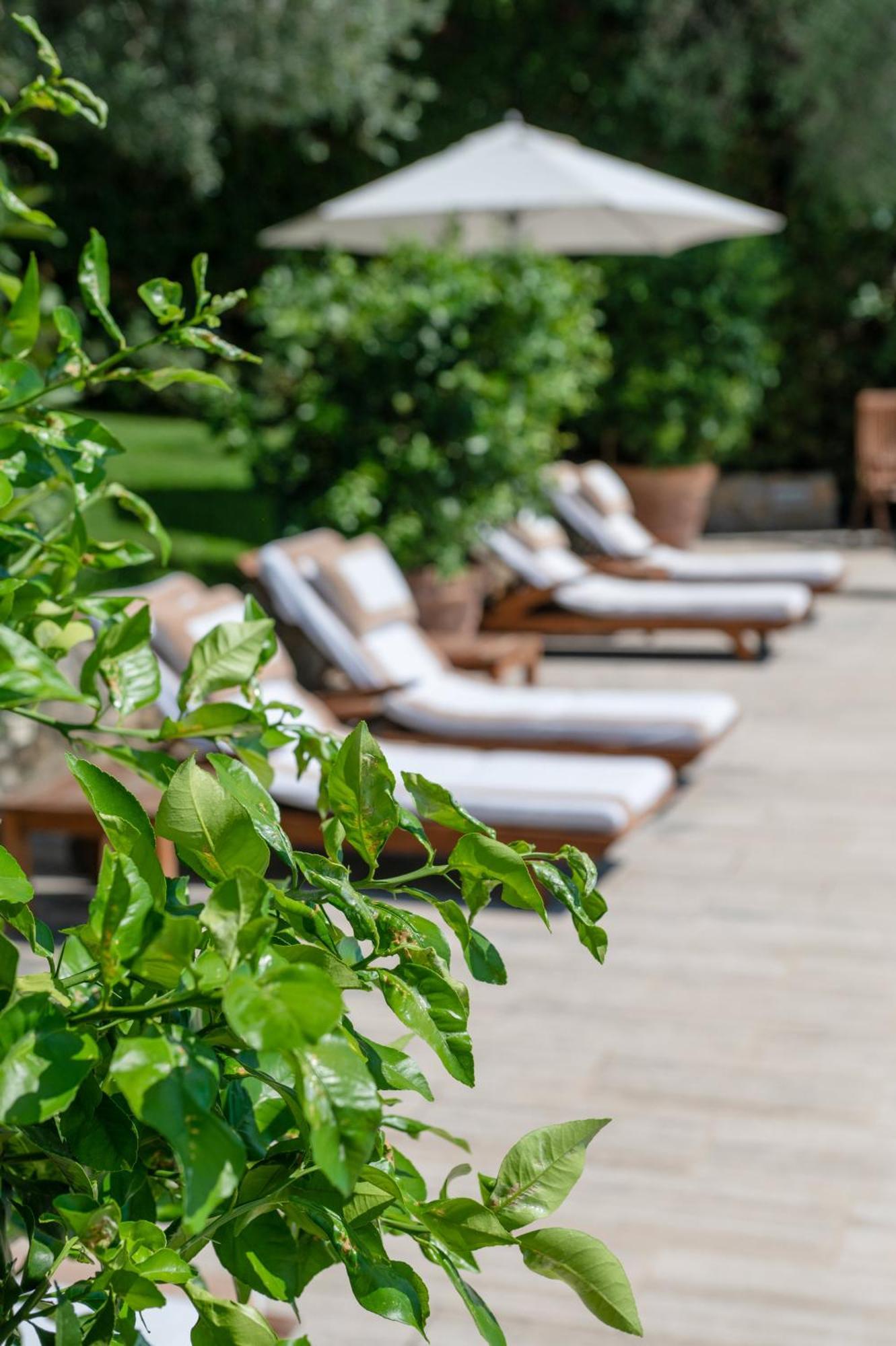 Villa Eden Forte Dei Marmi With Private Infinity Pool Santa Lucia  Kültér fotó