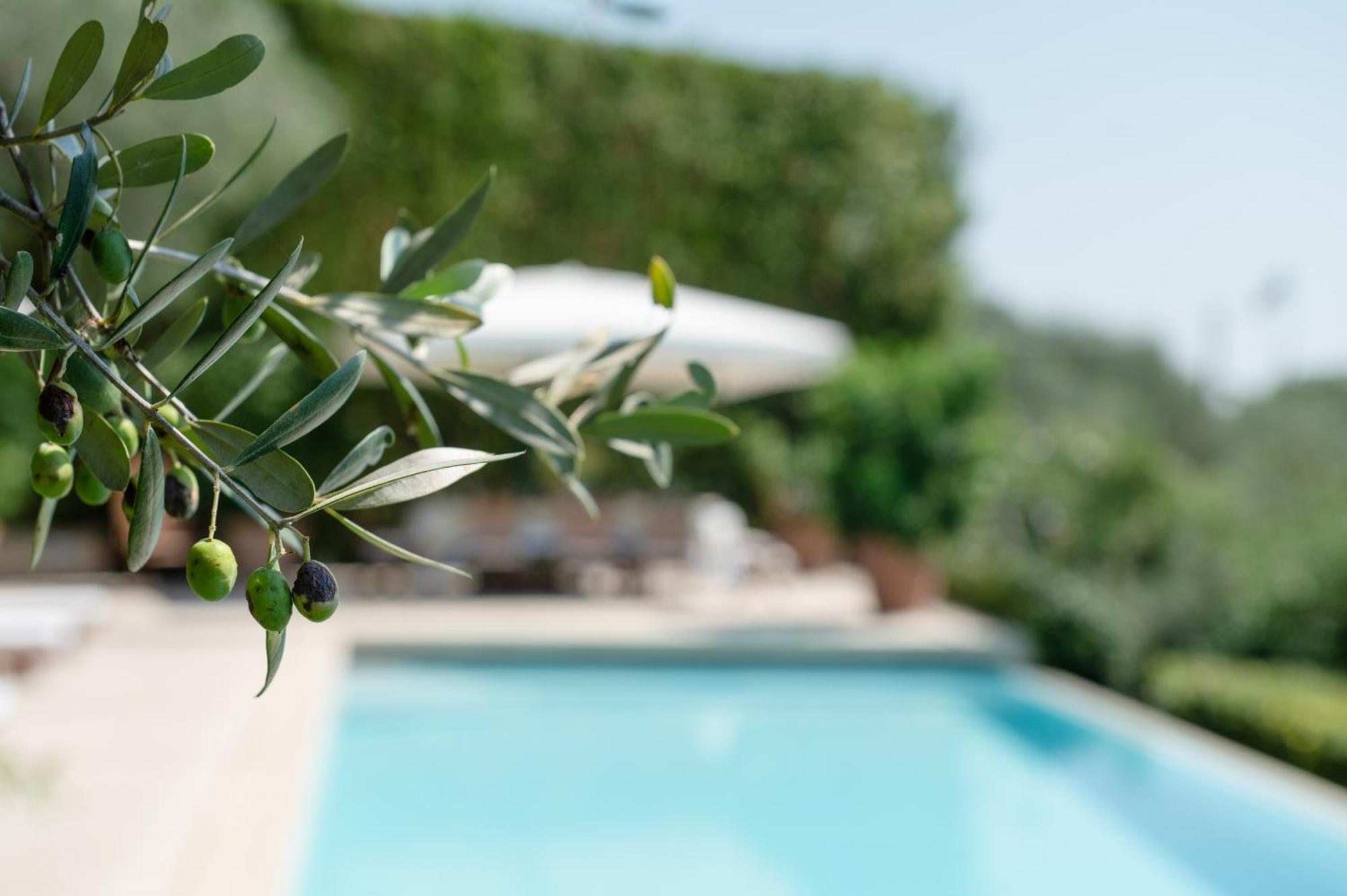 Villa Eden Forte Dei Marmi With Private Infinity Pool Santa Lucia  Kültér fotó