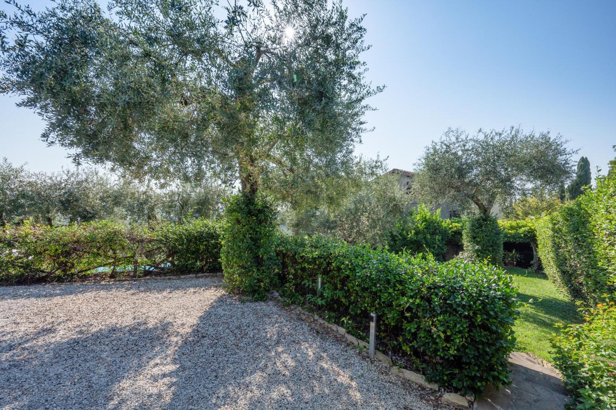 Villa Eden Forte Dei Marmi With Private Infinity Pool Santa Lucia  Kültér fotó